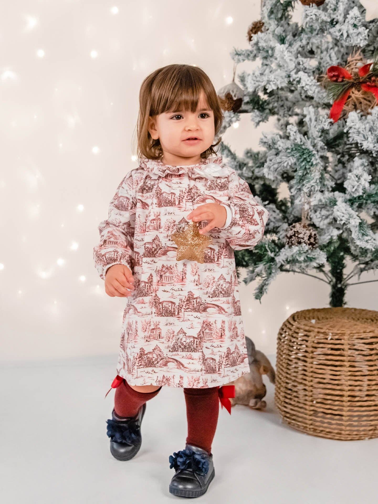 Toile Dress