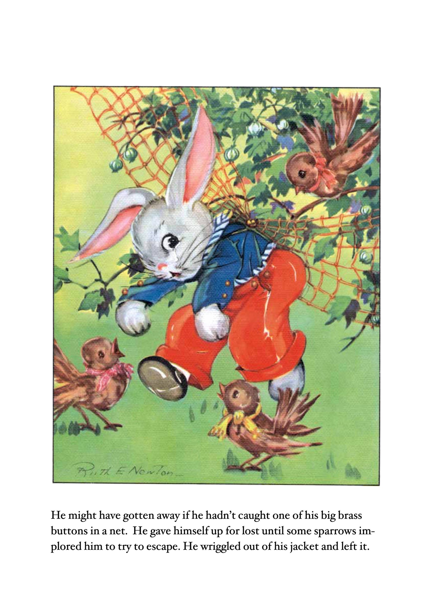 Laughing Elephant Books - Peter Rabbit -Children's Board Book - Vintage