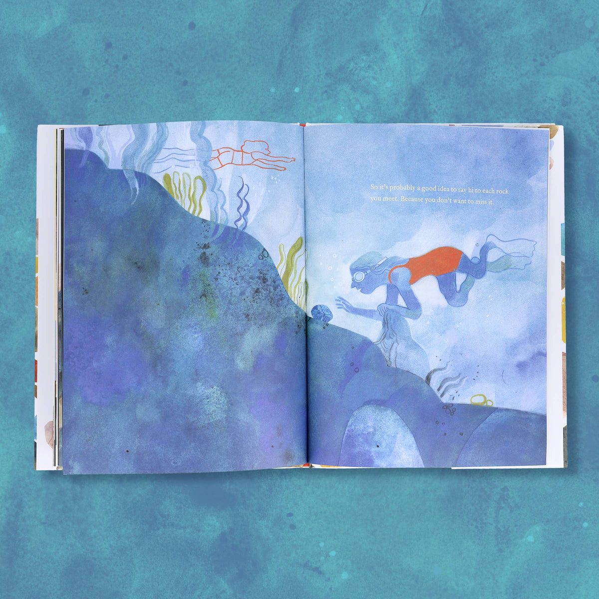 Chronicle Books - When You Find the Right Rock