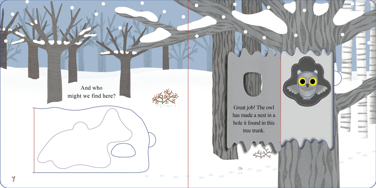 Schiffer Publishing - Who Is Hiding in the Forest?