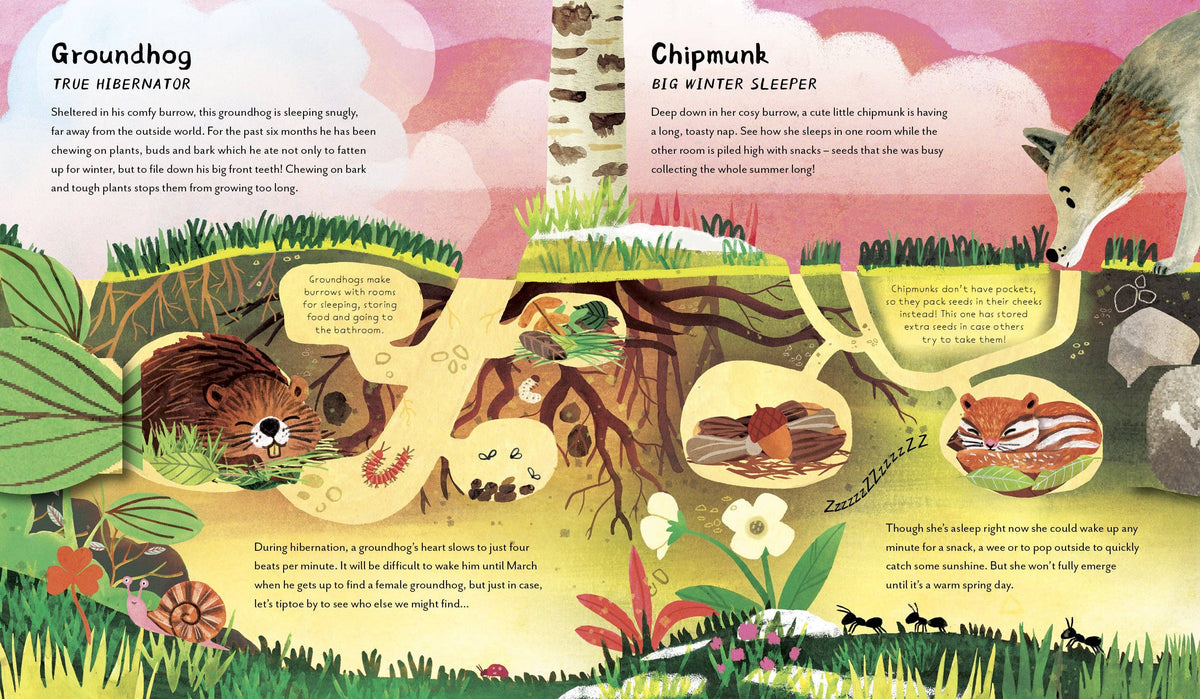 Chronicle Books - Great Big Animal Sleeps