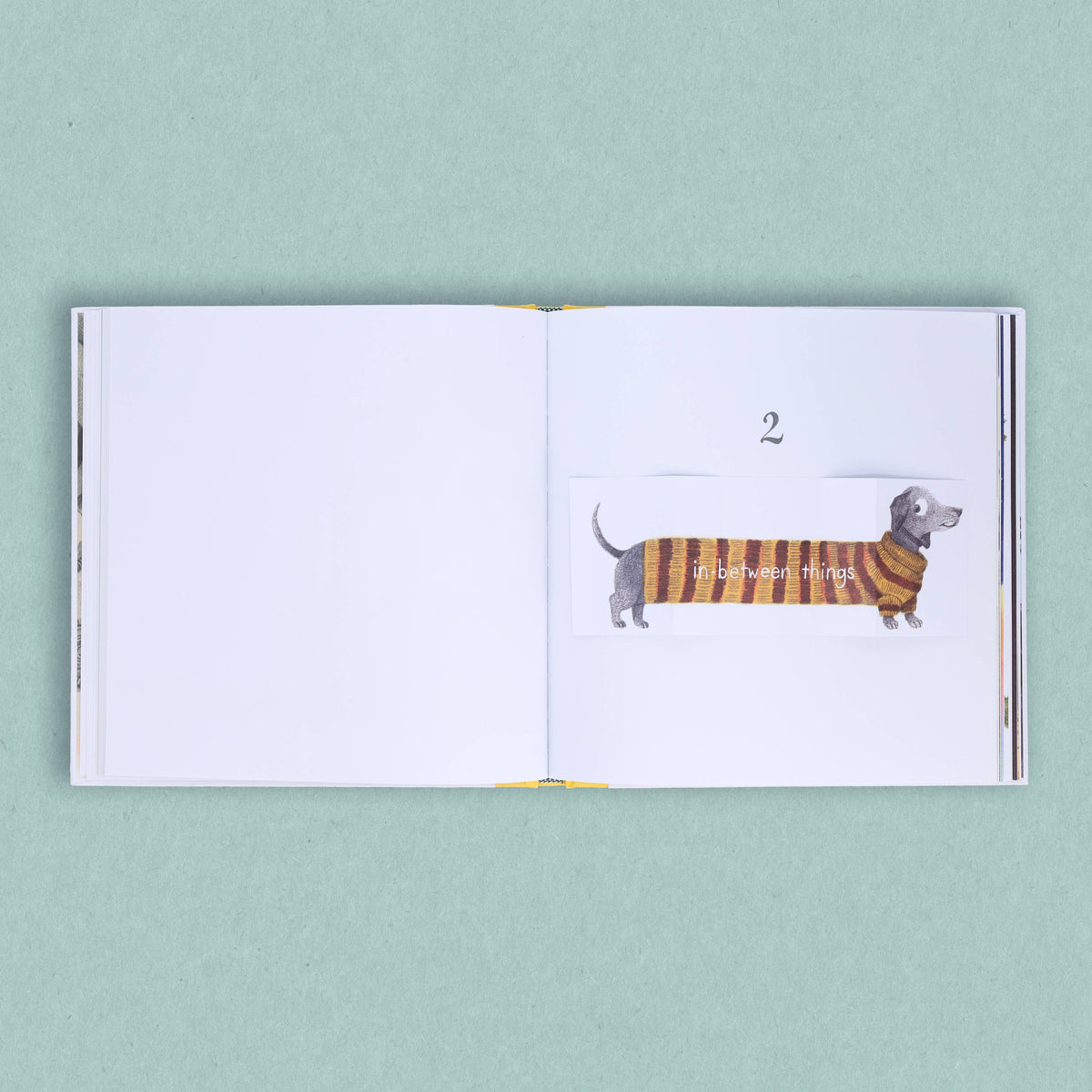 Chronicle Books - Big and Small and In-Between