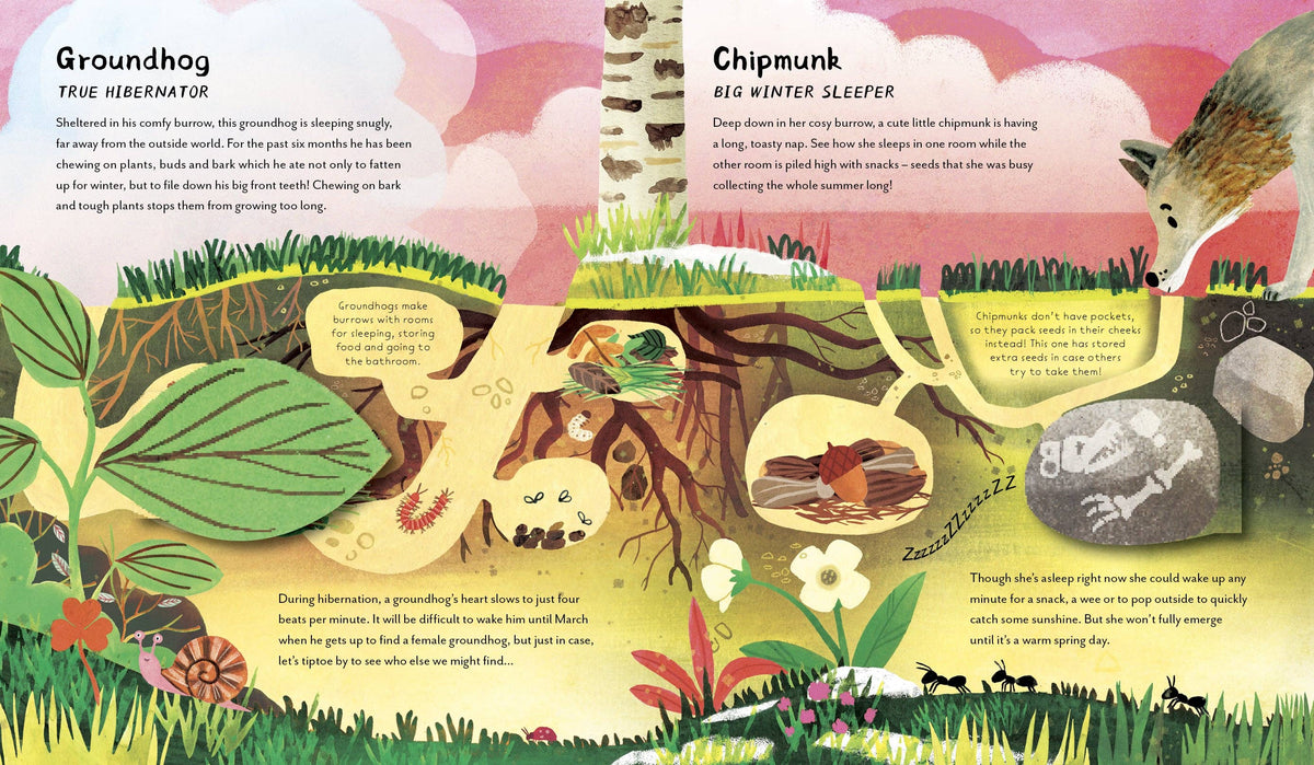 Chronicle Books - Great Big Animal Sleeps