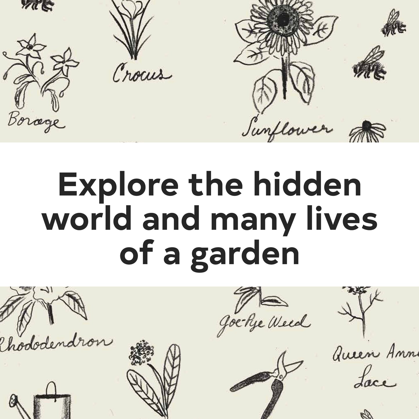 Chronicle Books - Up in the Garden and Down in the Dirt