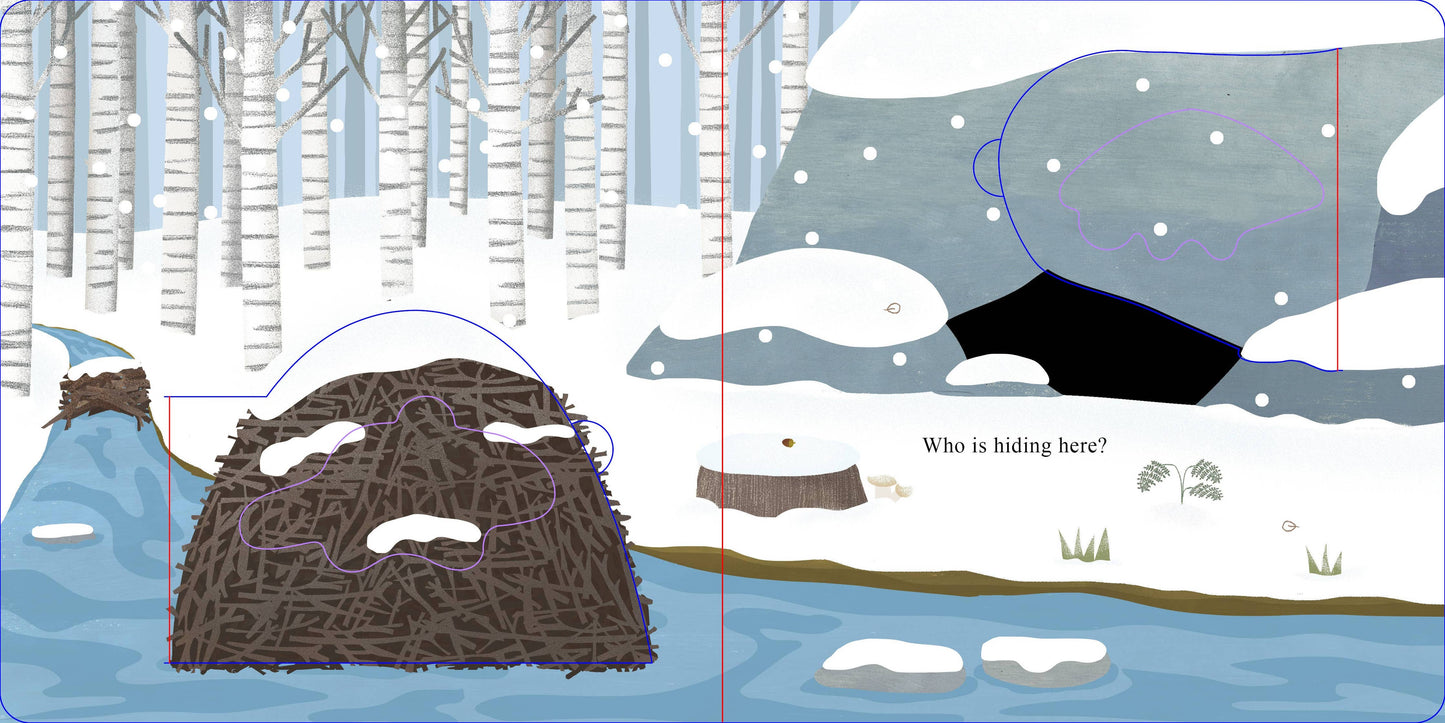 Schiffer Publishing - Who Is Hiding in the Forest?