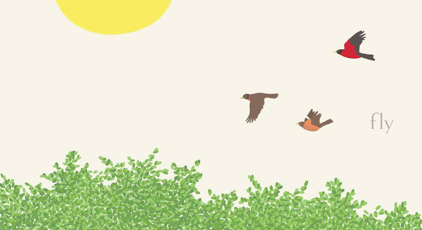 Simon & Schuster - Nest by Jorey Hurley: Board Books; 34 pages / English