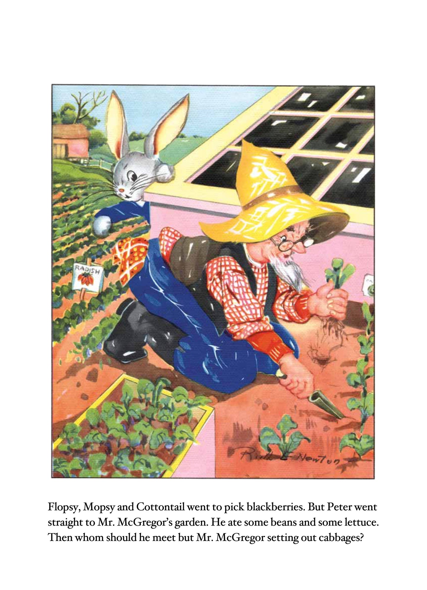 Laughing Elephant Books - Peter Rabbit -Children's Board Book - Vintage