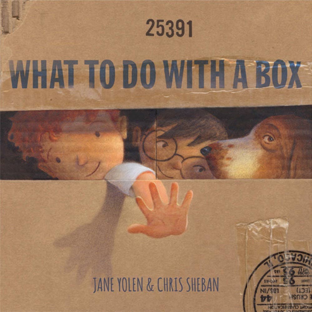 Chronicle Books - What to Do with a Box