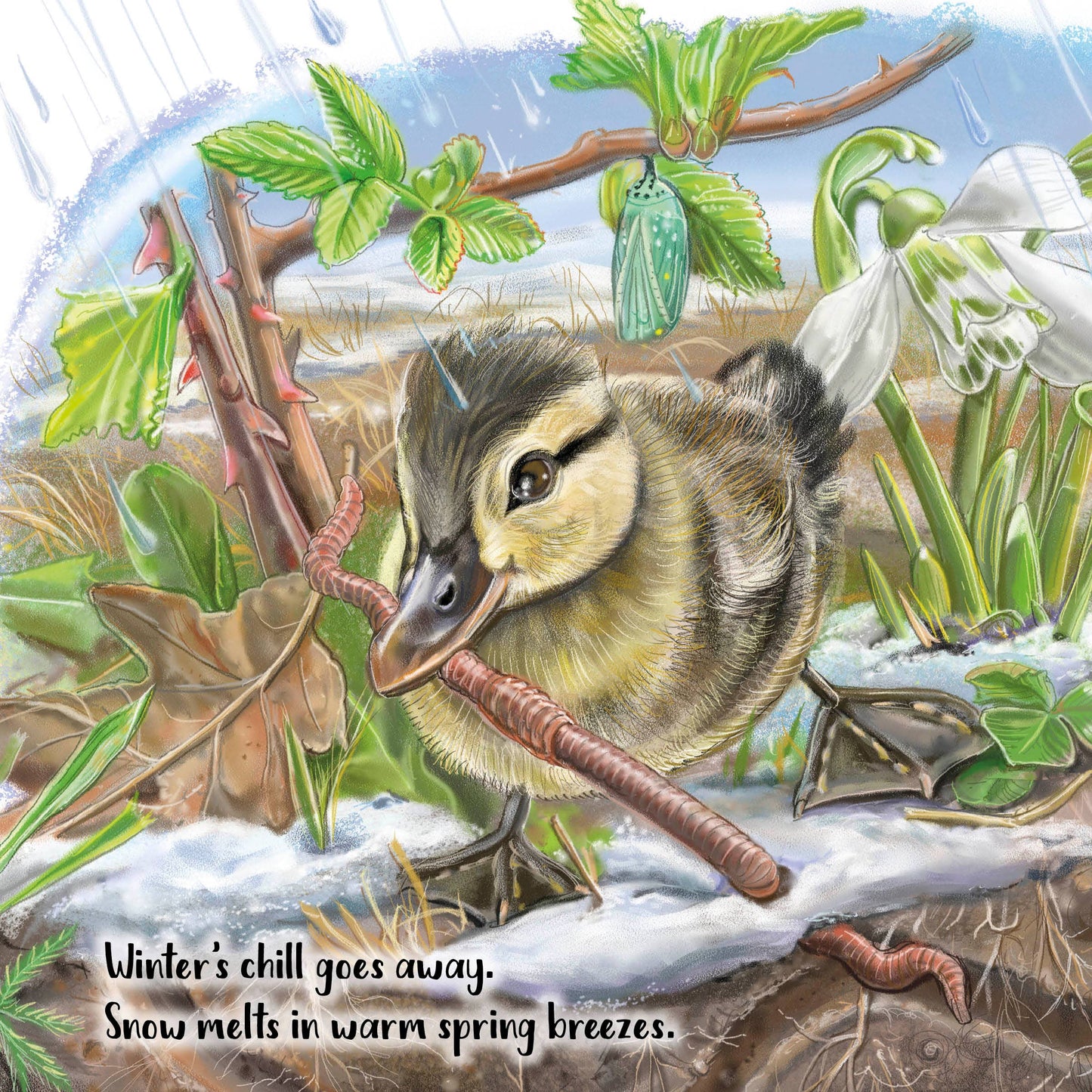 Schiffer Publishing - The Tiniest Giant