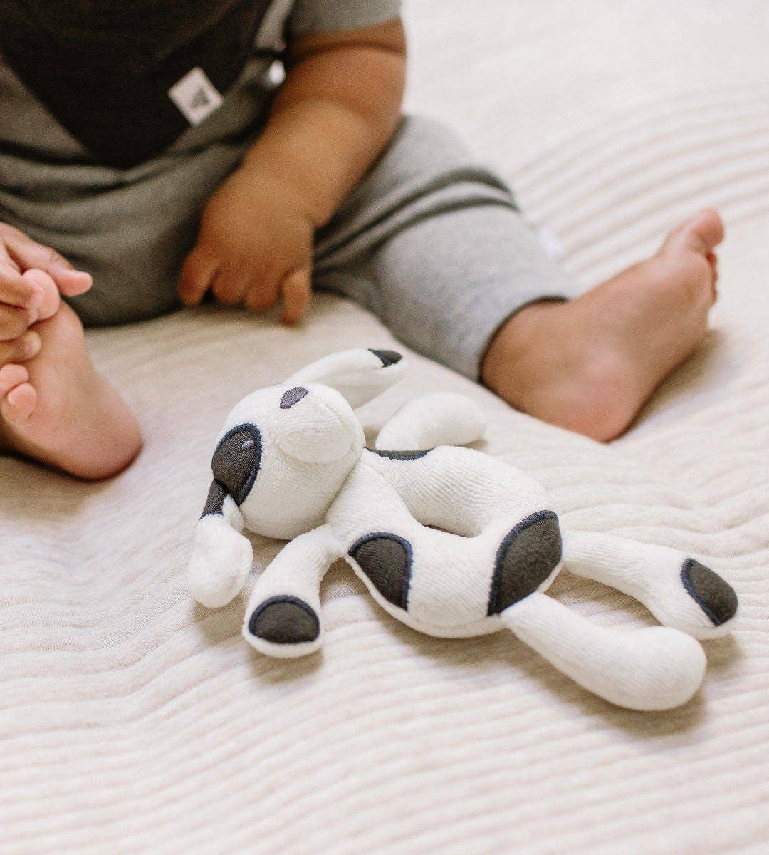 Burt's Bees Baby - Puppy Plush Baby Rattle: Puppy / One Size