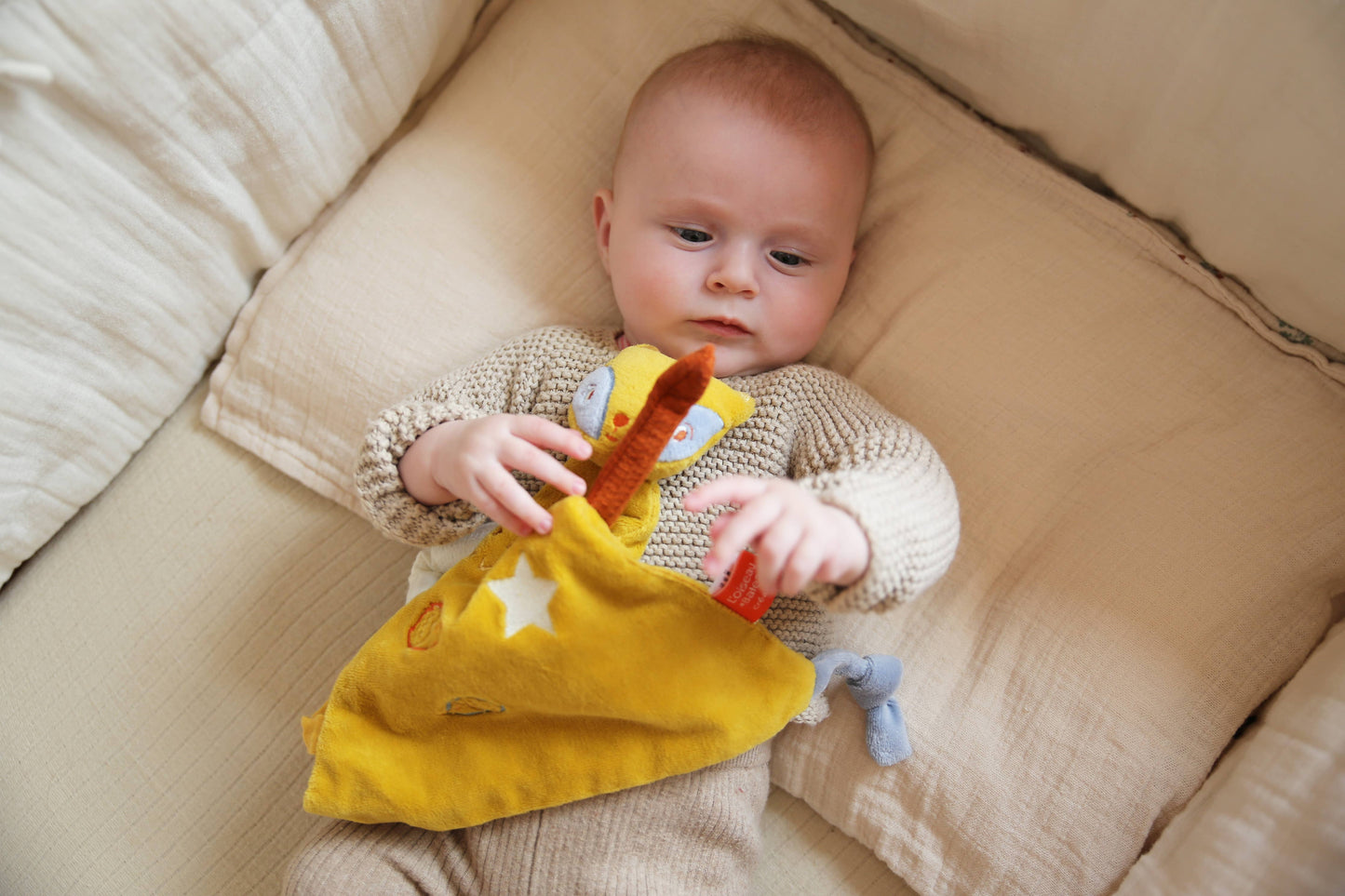 Z'Ane Pas Perder Baby Doudou - Fox - Baby Christmas gift