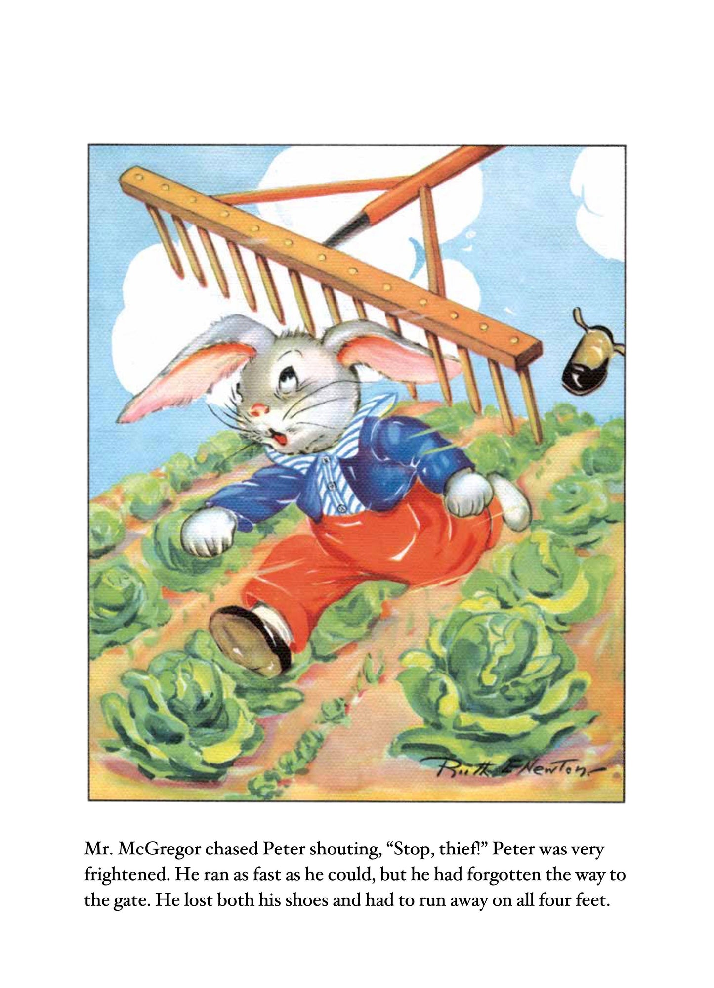 Laughing Elephant Books - Peter Rabbit -Children's Board Book - Vintage
