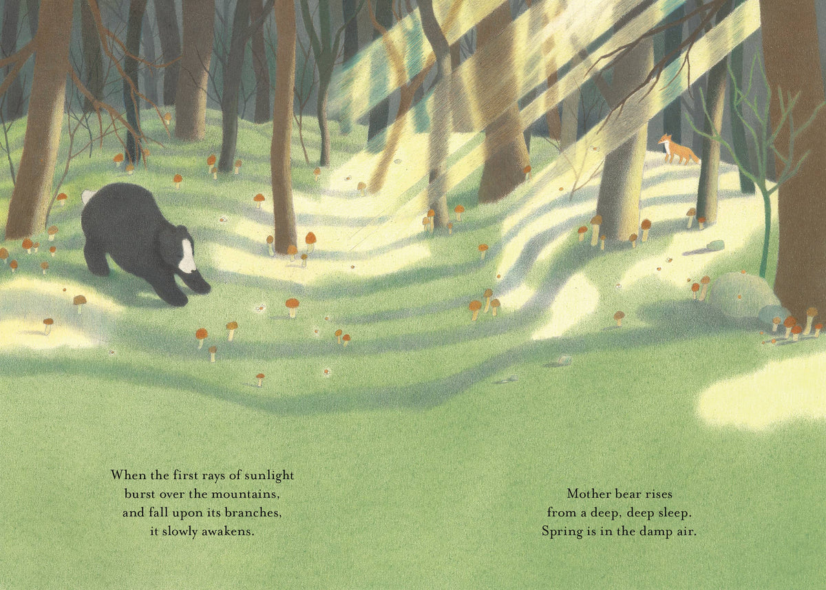 Chronicle Books - A Song of the Seasons