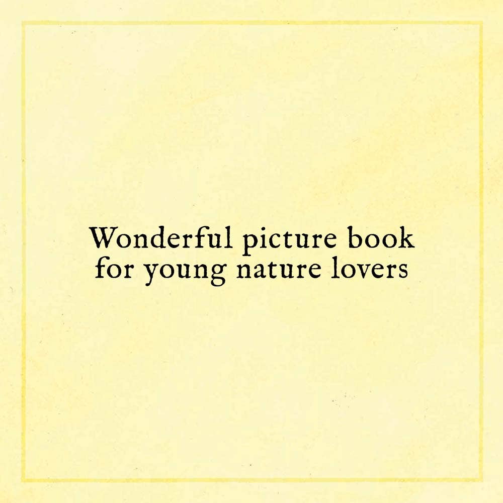 Chronicle Books - When You Find the Right Rock