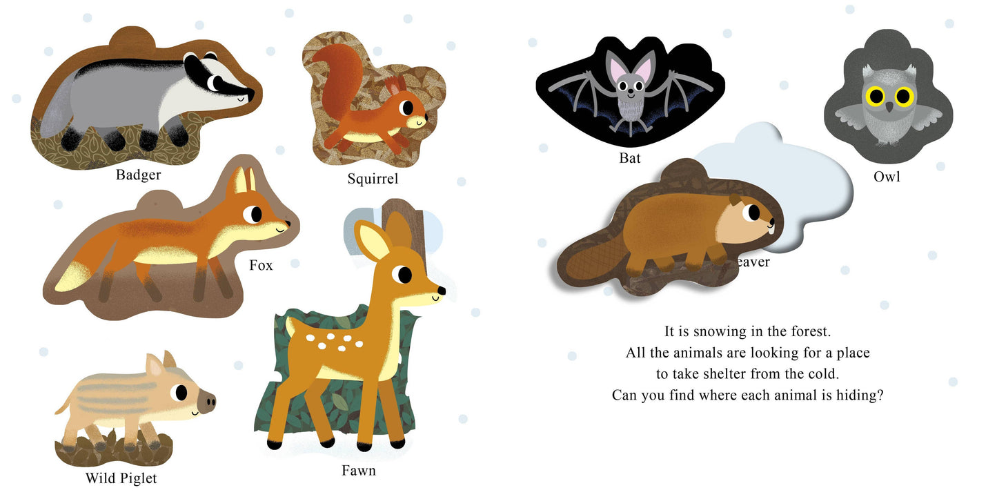Schiffer Publishing - Who Is Hiding in the Forest?