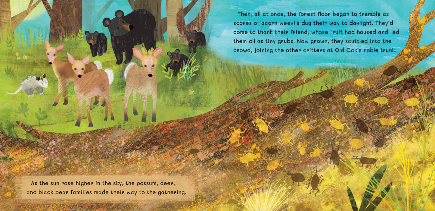 Barefoot Books - Thank You, Old Oak: Hardcover