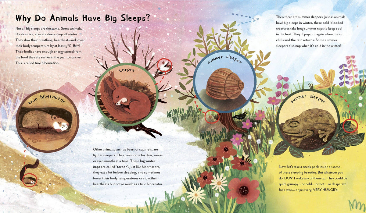 Chronicle Books - Great Big Animal Sleeps