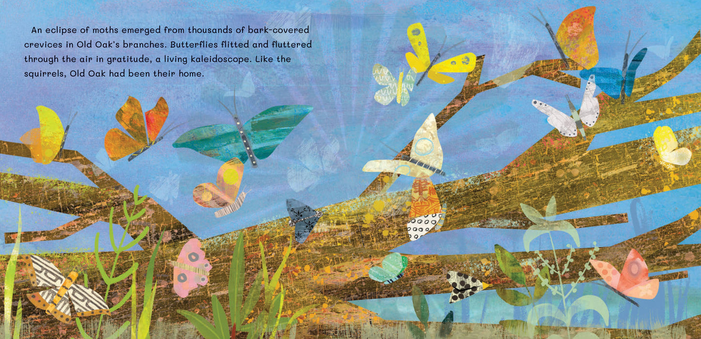 Barefoot Books - Thank You, Old Oak: Hardcover