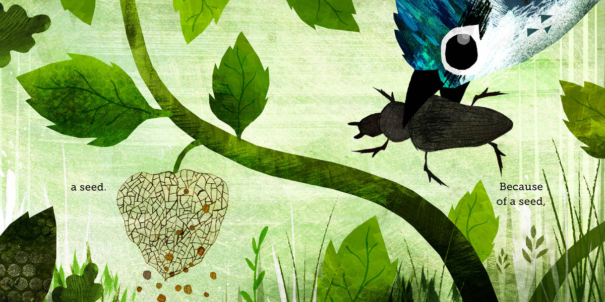 Chronicle Books - Because of an Acorn