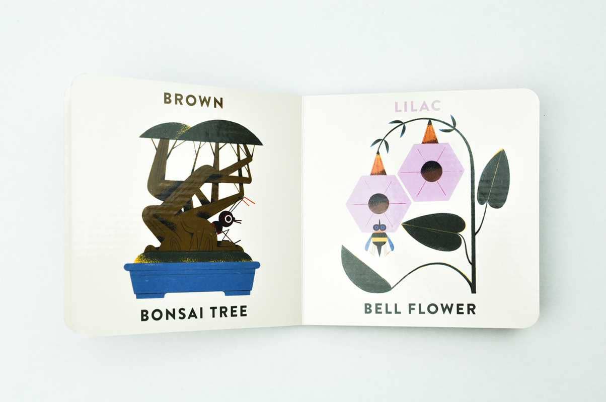 Simon & Schuster - Babylink: Colors in the Garden by Marcos Farina: Board Books; 16 pages / English