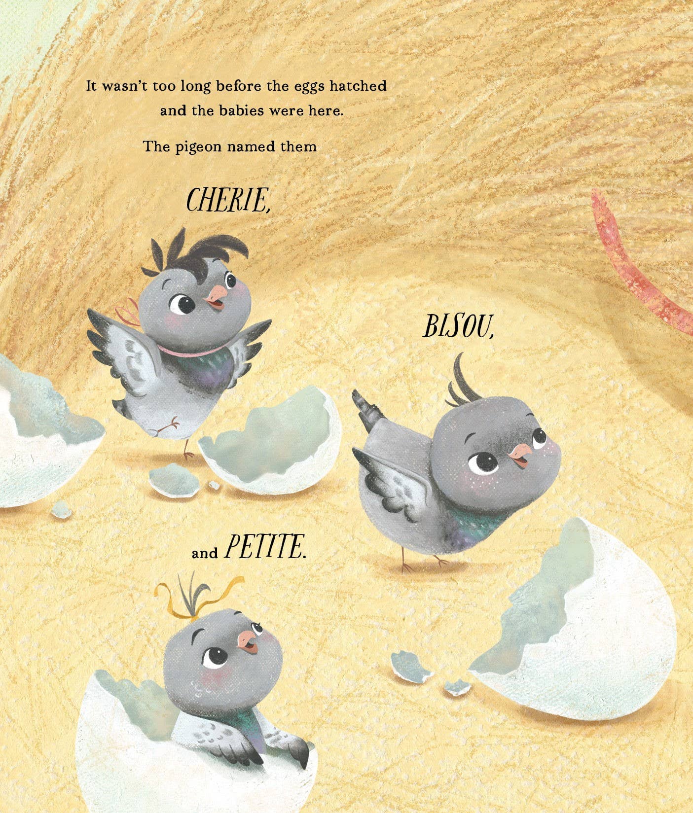 Sleeping Bear Press - A Pigeon in Paris: Petite Takes Flight Picture Book