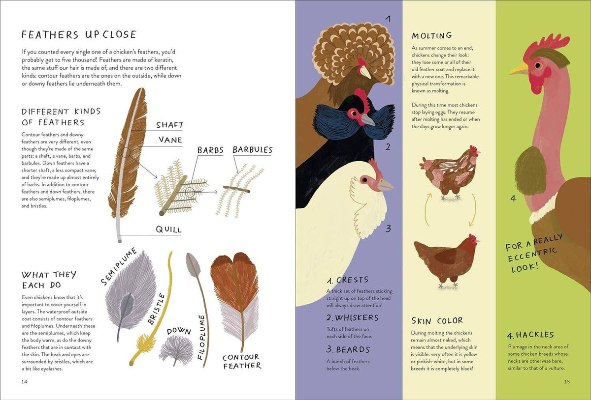 Chronicle Books - Chickenology