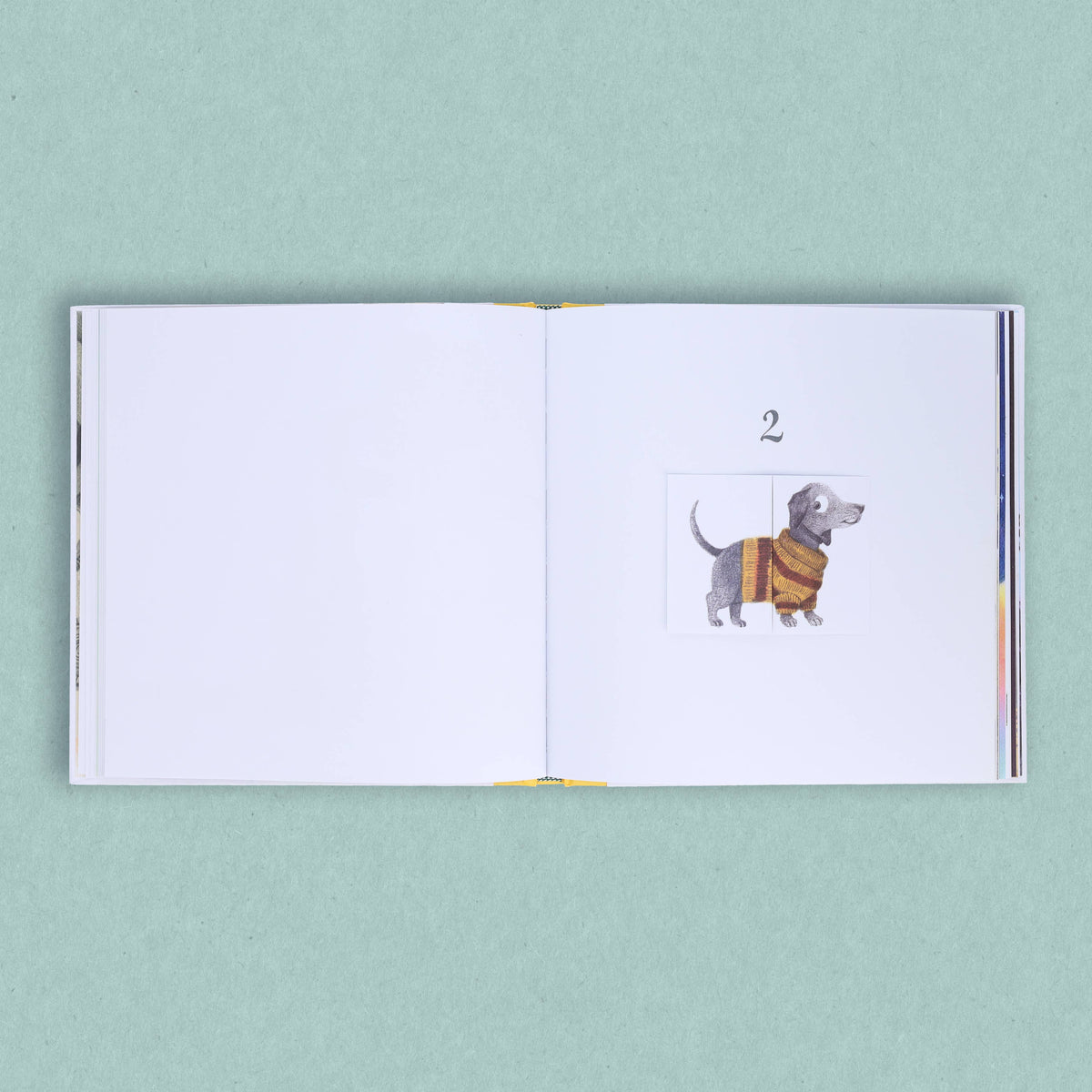 Chronicle Books - Big and Small and In-Between