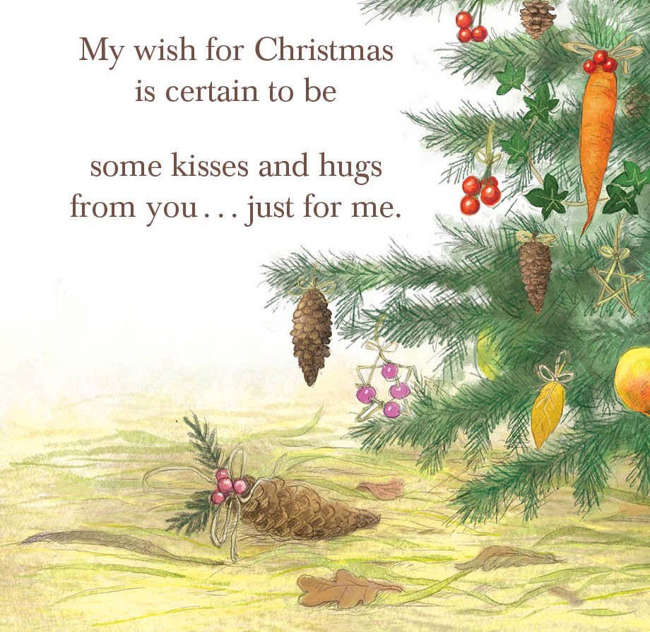 Sleeping Bear Press - Grandma's Christmas Wish Picture Book