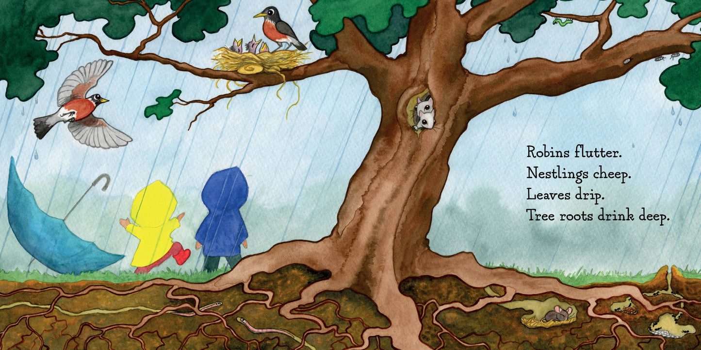 Schiffer Publishing - Hello, Rain!
