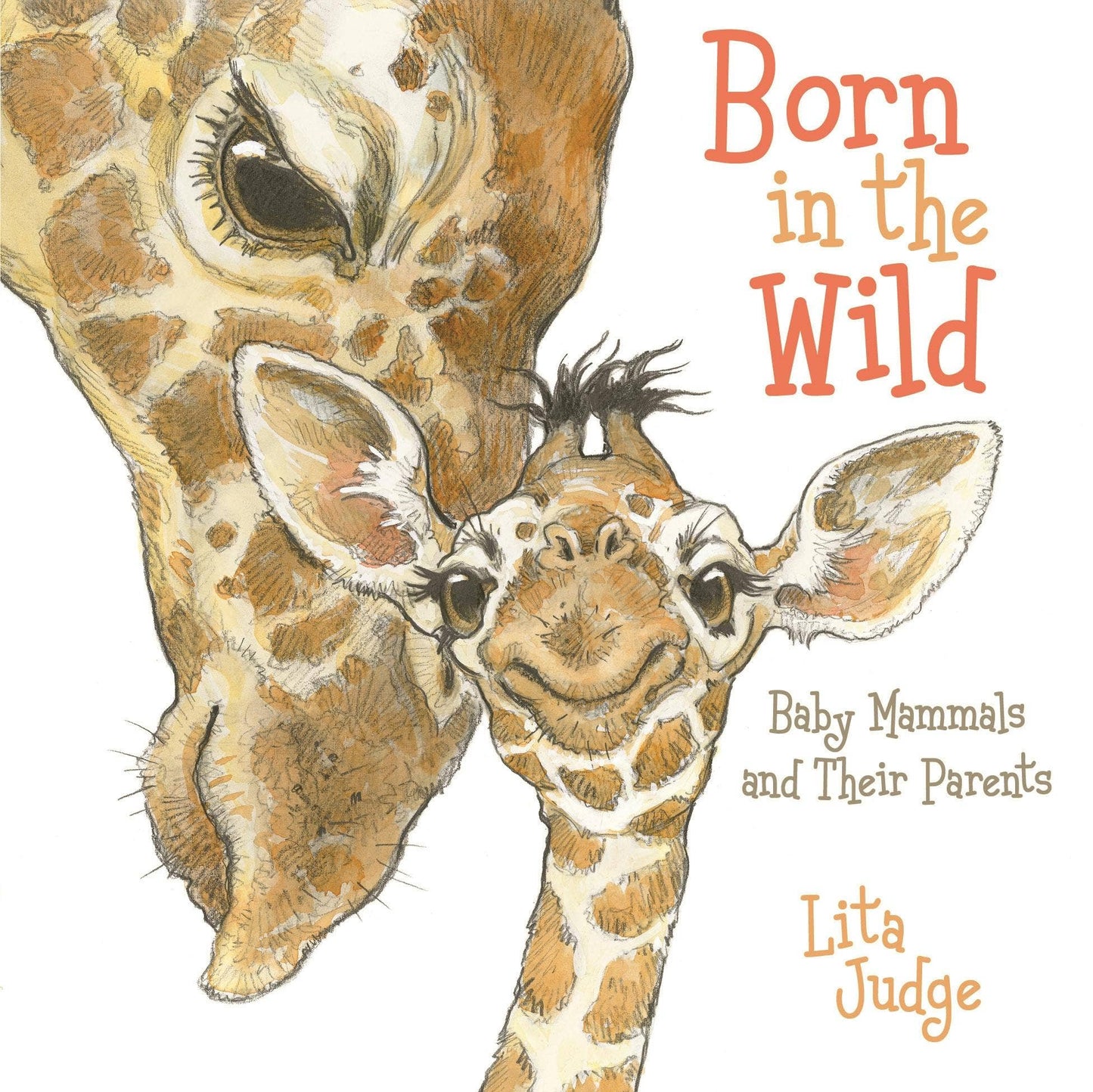 Macmillan Publishers - Born In The Wild: Baby Animals And Their Parents