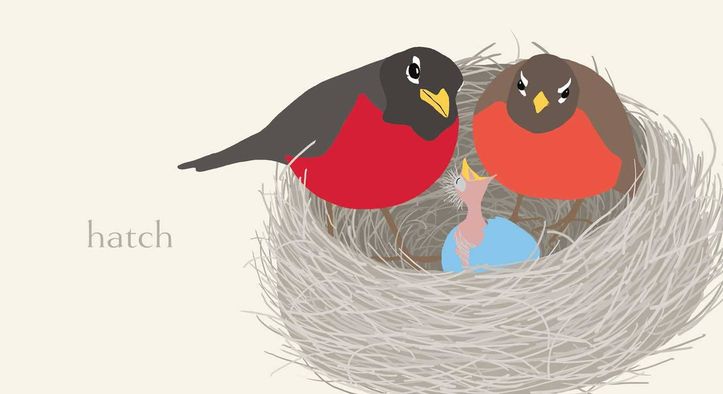 Simon & Schuster - Nest by Jorey Hurley: Board Books; 34 pages / English