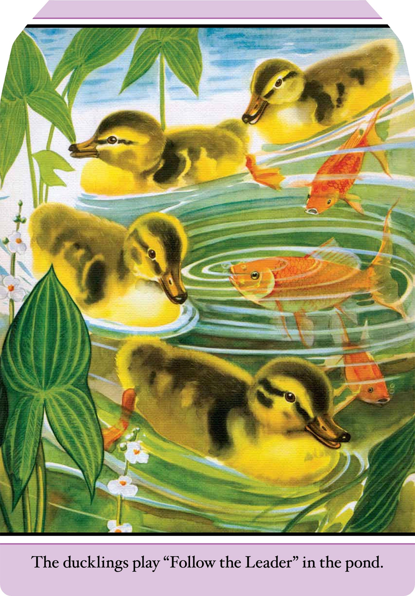 Laughing Elephant Books - Farm Babies- Children's Picture Book-Vintage
