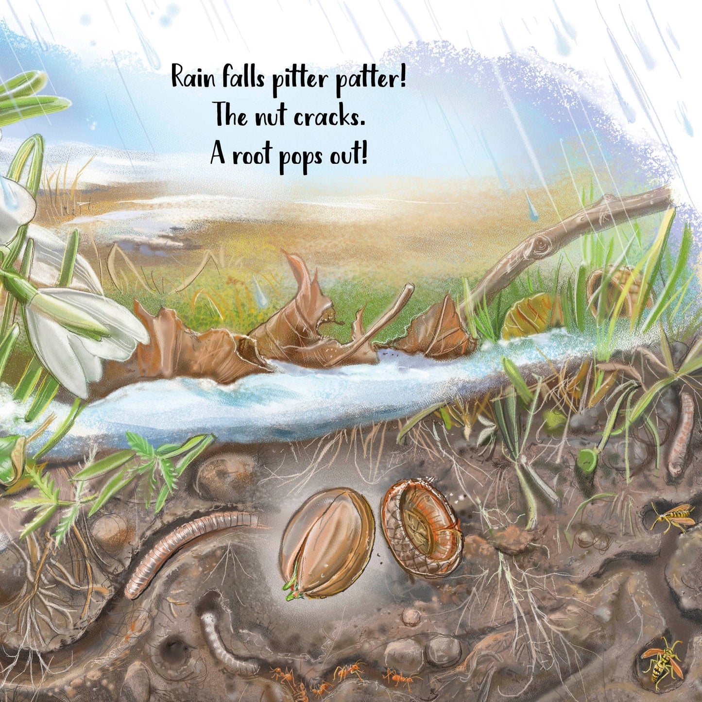 Schiffer Publishing - The Tiniest Giant