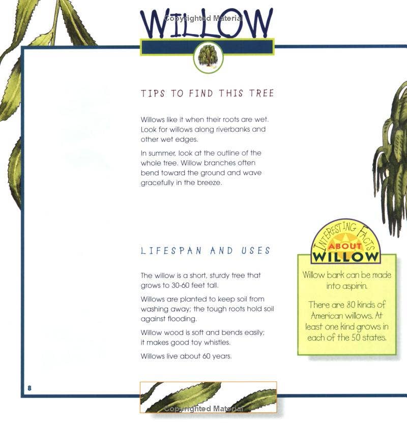 Trees, Leaves & Bark: A Take Along Guide