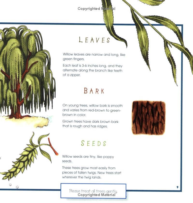 Trees, Leaves & Bark: A Take Along Guide