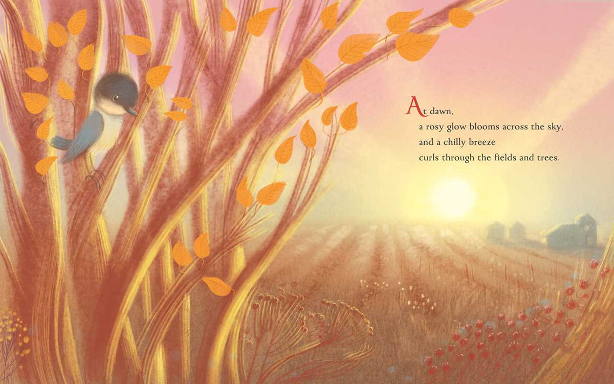 Simon & Schuster - Fall by Kelsey E. Gross: Hardcover; 36 pages / English