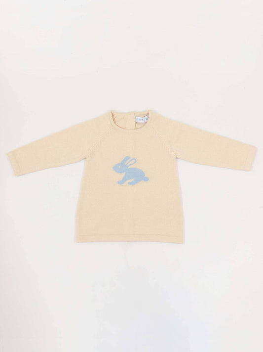 Peter Rabbit Sweater & Short Set